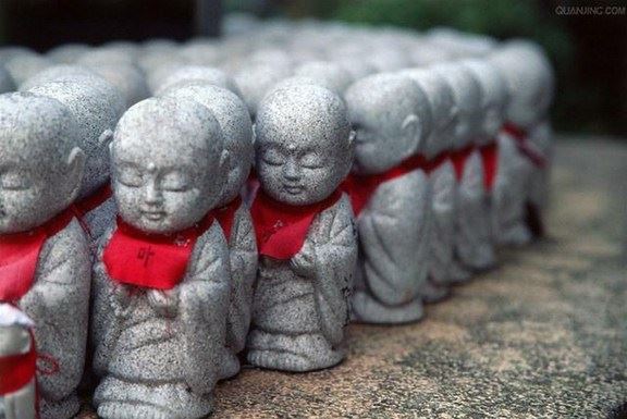 佛教徒应该如何修养和修行？