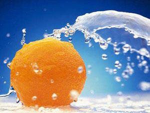 佛教“七众弟子”分别指的是什么？