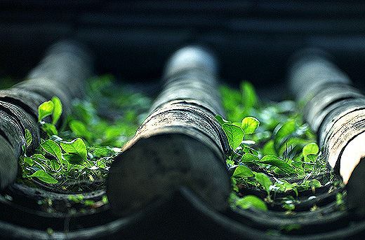 饶益应当怎么做？怎么理解成道非由施钱？