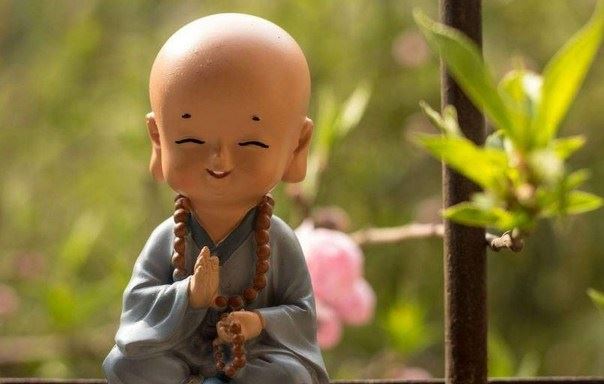 你眼见的真实存在和佛陀宣说世界有区别吗？