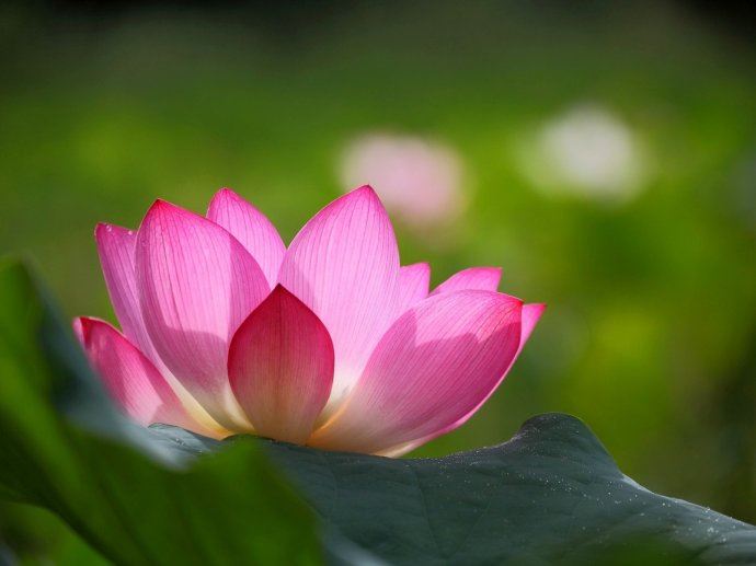 如何作忏悔方能够消业？