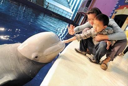 学佛要有善巧方便，先恒顺众生，再转化众生