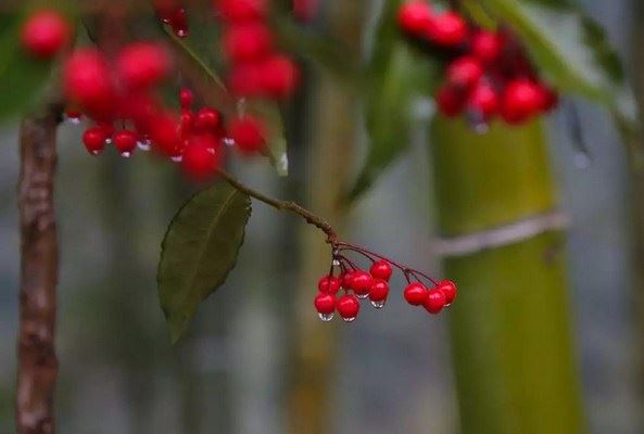 印光大师：我们天天念佛，佛为何不厌烦呢？