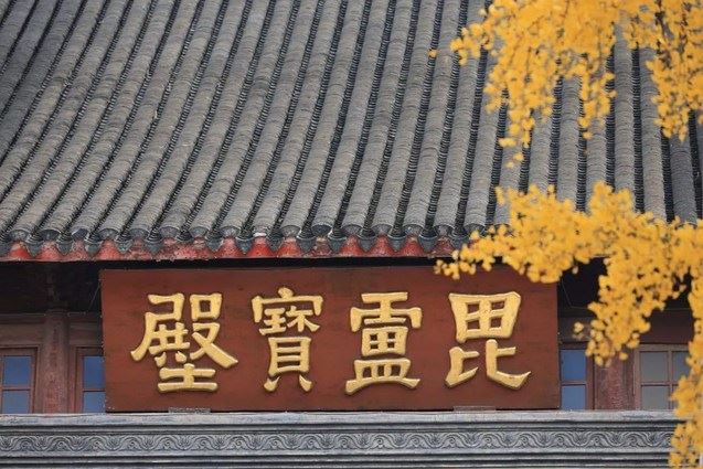 放弃参禅照顾寡妇九年之后潇洒离去