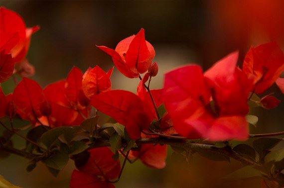 大师跟你讲：什么叫修行