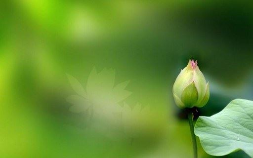 福慧之中藏富贵