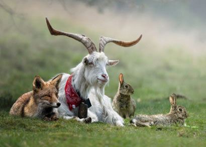 为什么忏除业障最重要