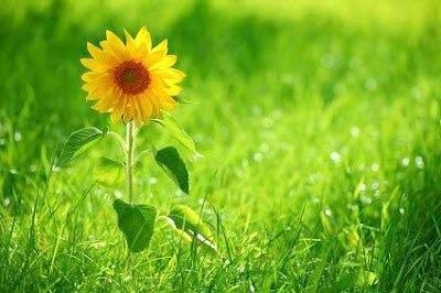 达真堪布：守八关斋戒有不可思议功德