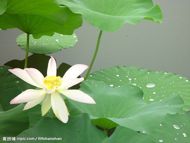 海涛法师--从事杀业的人，有很深重的业力，应给予更大的慈悲