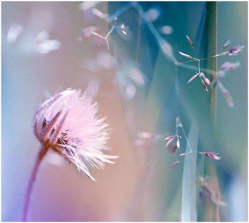 只要心中有佛，不去寺院修行也可以吗？