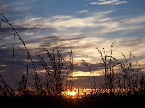 藏传佛教为何流行磕长头？