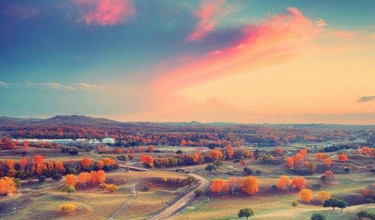 居士应该如何在家课诵？