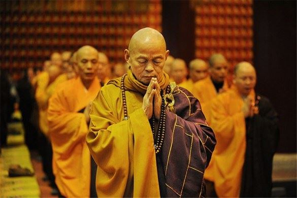 对万物感恩，对众生慈悲