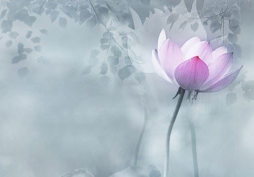 太虚大师：往生安乐土法门略说