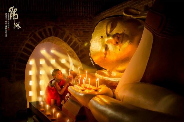 佛教里的“五树六花”分别指的是什么?