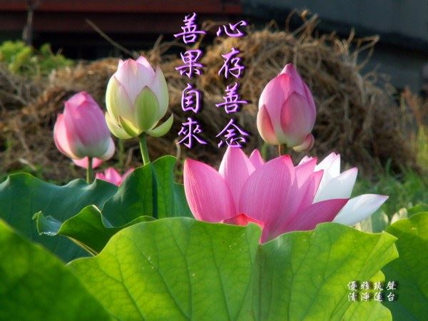 不活在别人的评价里是一种智慧