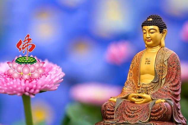 法师开示：是不是去寺庙立个牌位，就可以消除业障？