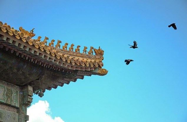 净空老和尚：灾难那么多，为何佛菩萨不用神通帮我们化解？