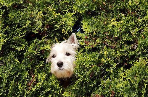 小小的起心动念就有大的果报