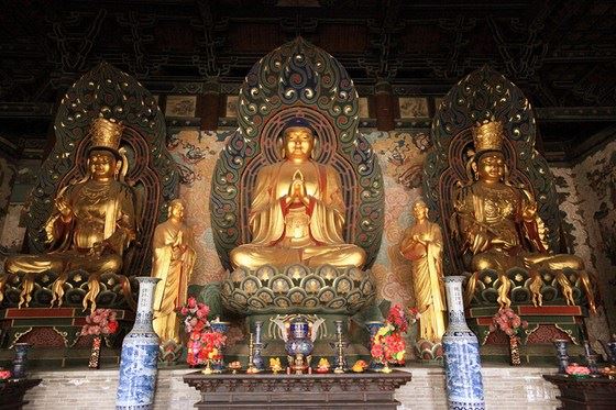 儿女五不怨，父母七不责（人人适用）