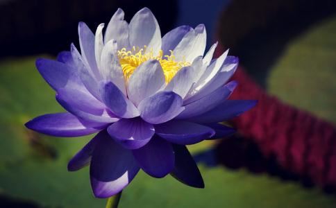 学佛找到人生伴侣