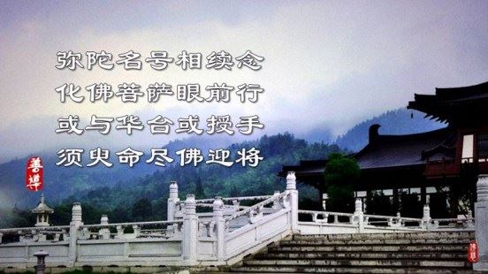 真正的修行者，所见之处常生功徳