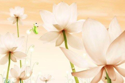 年轻和尚被女子爱上，"不嫁就死"逼和尚洞房