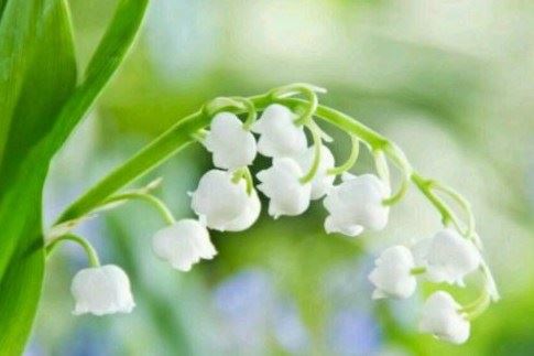 闭上嘴是最高的修行（深度好文）