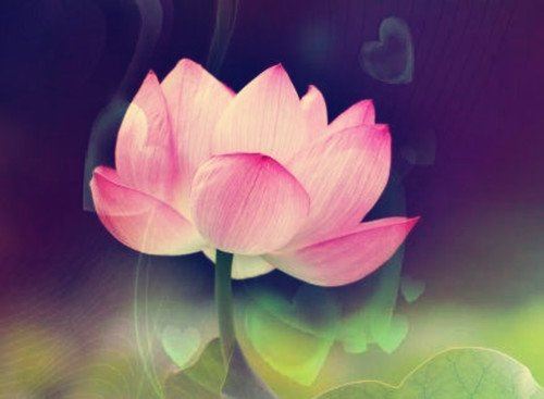 释迦牟尼布施被骗的故事