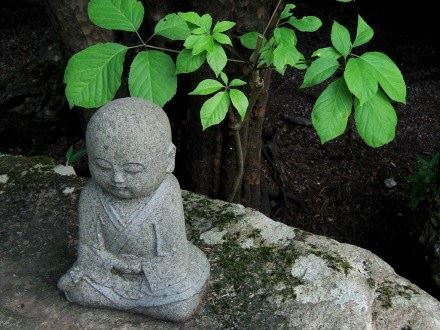 满目青山尽是禅