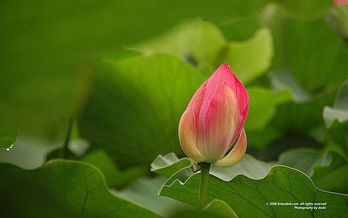 “家庭和睦”是最实在的修行