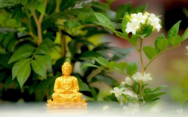 工作也是积累福德的途径