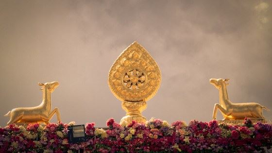 诵经念佛，诸佛菩萨心咒你怎么能不知道？