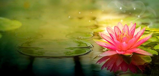 藏传佛教果真那么神秘？