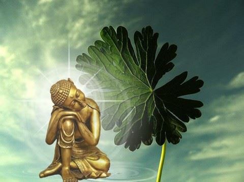 迷途知返，为子孙谋