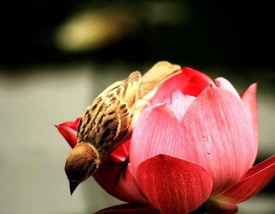 人有千算，天则一算！（看了终生受益）