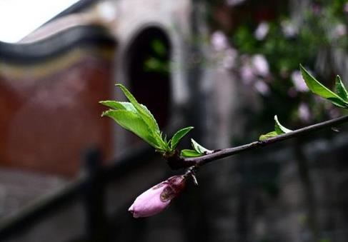 佛陀度化即将堕入地狱的长者