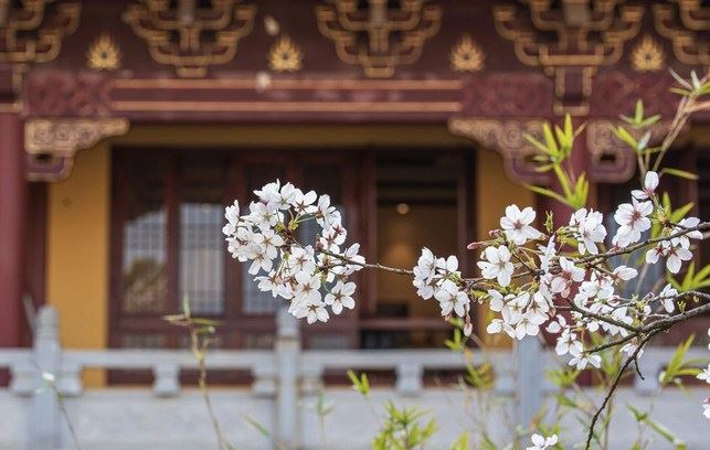 功德、福德、福报，三者有何不同？