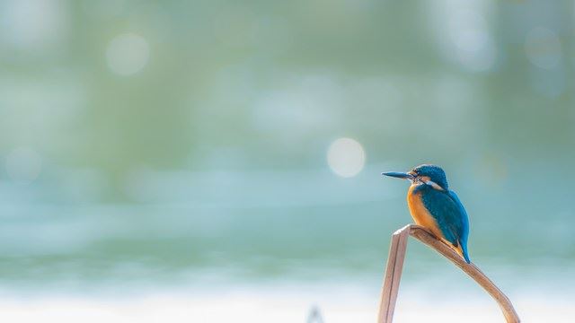 大姑奶奶经历的往事