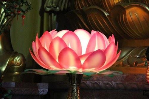 失足落水七孔流血，静坐三周神奇康复