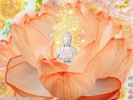 禅师弘法的智慧