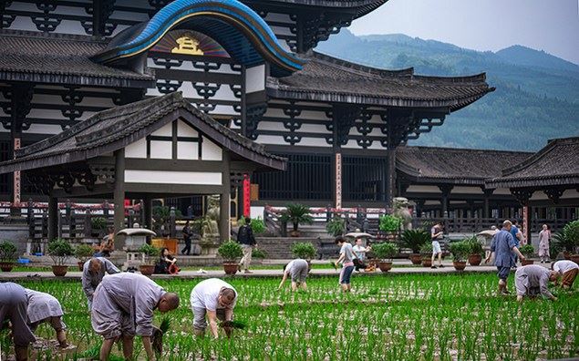 修行就是调整自己的心