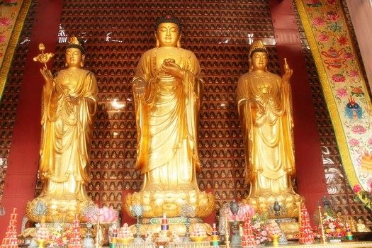 蛇受三皈依后头顶佛经听佛法