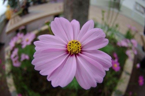 为何有的人一出生还记得前世的事情？