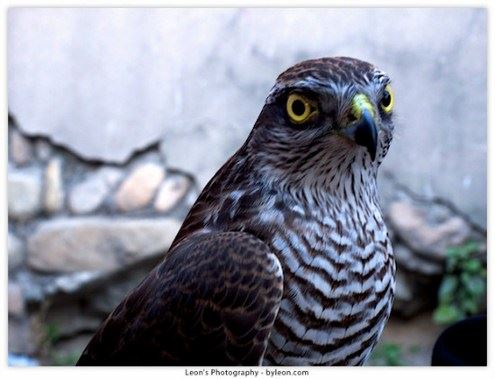 学佛应该如何理解三世因果？