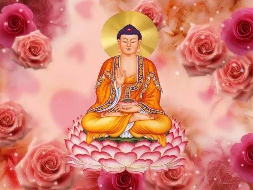 大安法师开示：预知往生的详解