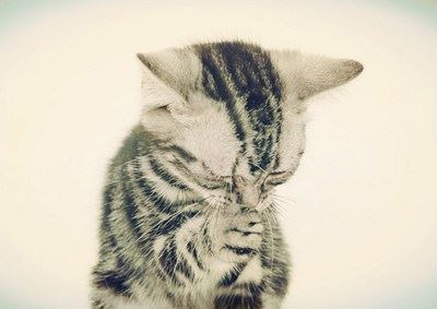 放下拳头，创造奇迹