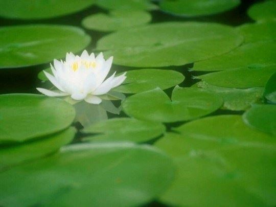 无微不至的伤害（经典好文）