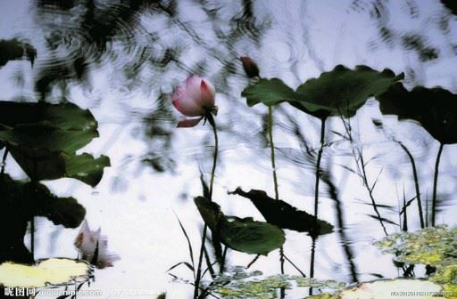 学会舍弃是一项大智慧