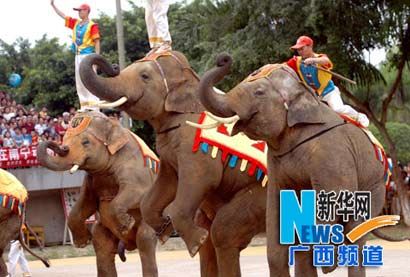 八大佛教圣地事迹简介